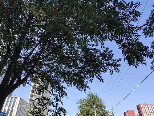 小米CC9手机值得买吗 小米CC9详细评测_手机评测_手机学院_本站
