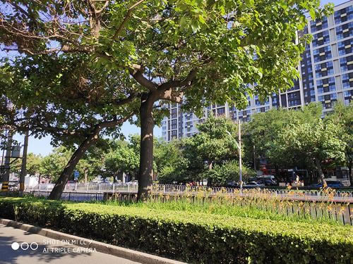 小米CC9手机值得买吗 小米CC9详细评测_手机评测_手机学院_本站