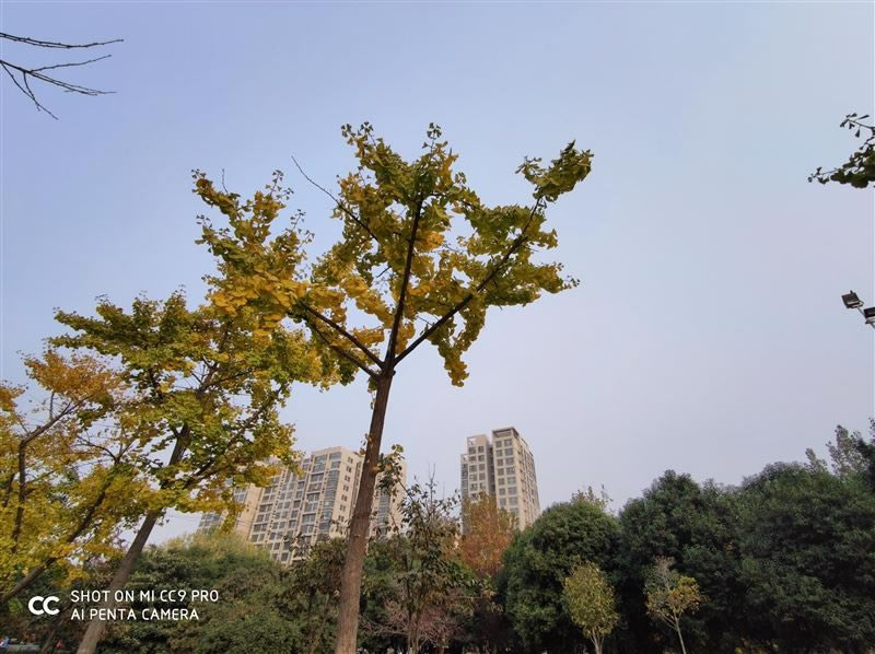 小米CC9 Pro适合入手吗 小米CC9 Pro手机外观/配置/拍照/系统/性能/续航及使用体验评测_手机评测_手机学院_本站