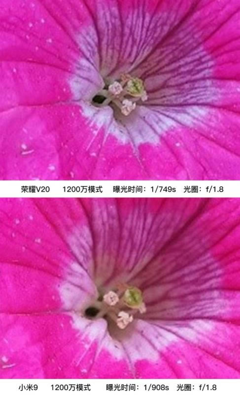 荣耀V20和小米9哪款拍照好 荣耀V20和小米9拍照效果对比评测_手机评测_手机学院_本站