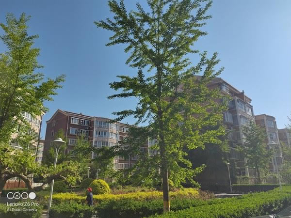 联想Z6 Pro和小米9哪个好 联想Z6 Pro和小米9对比评测_手机评测_手机学院_本站