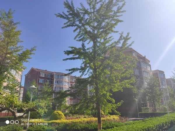 联想Z6 Pro和小米9哪个好 联想Z6 Pro和小米9对比评测_手机评测_手机学院_本站
