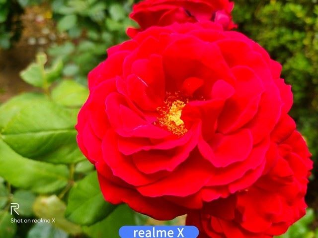 realme XͺNote7 Proĸպ realme XNote7 ProЧȫ_ֻ_ֻѧԺ_վ