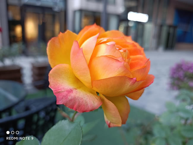 Redmi Note 9 5G Redmi Note 9 5G_ֻ_ֻѧԺ_վ