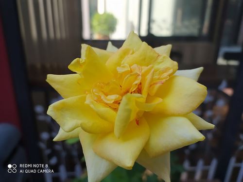Redmi Note8ֵ Redmi Note8ֻ鼰_ֻ_ֻѧԺ_վ