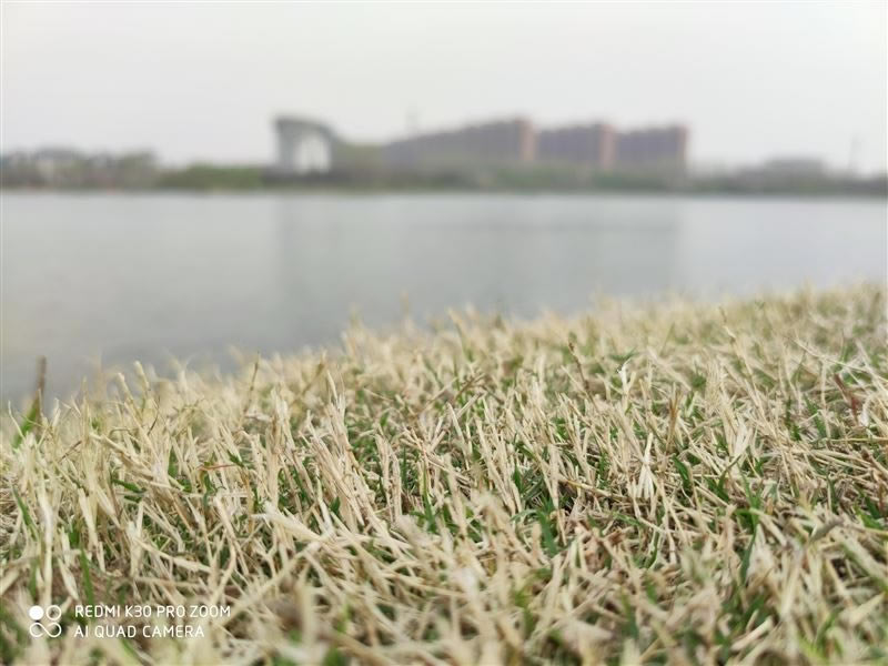 Redmi K30Pro变焦版值得买吗 Redmi K30Pro变焦版全面评测_手机评测_手机学院_本站
