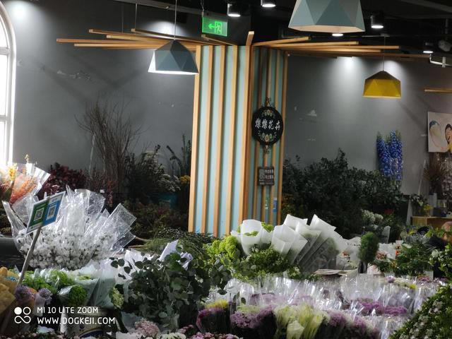 3000档5G摄影手机盘点:潜望式超长焦镜头成标配 好照片随手拍