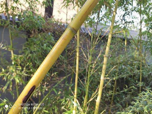 Redmi K20手机外观、拍照、系统及跑分评测图解_手机评测_手机学院_本站