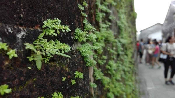 中兴axon天机7好不好？中兴axon天机7深度评测_手机技巧